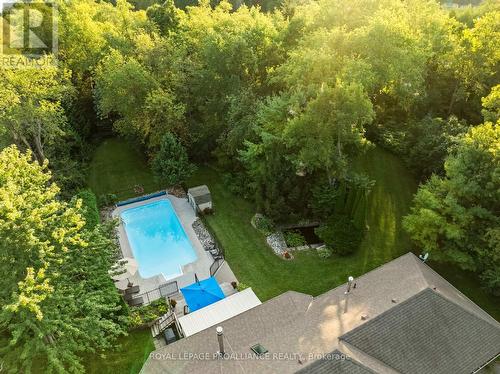 386 Nawautin Drive, Alnwick/Haldimand (Grafton), ON - Outdoor With In Ground Pool