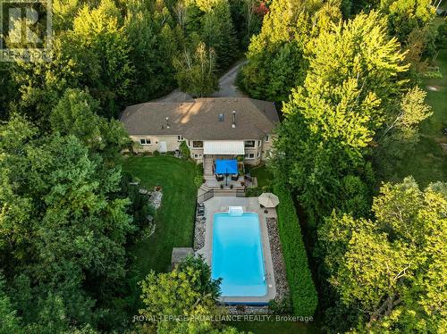 386 Nawautin Drive, Alnwick/Haldimand (Grafton), ON - Outdoor With In Ground Pool