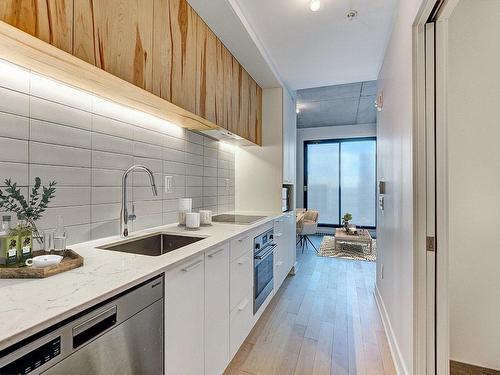 Kitchen - 1221-1150 Boul. René-Lévesque E., Montréal (Ville-Marie), QC - Indoor Photo Showing Kitchen With Upgraded Kitchen