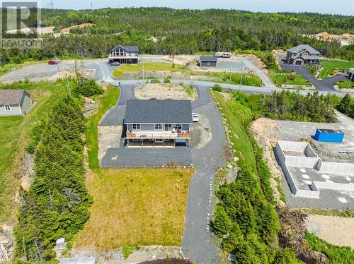 125 Amber Drive, Whitbourne, NL - Outdoor With View