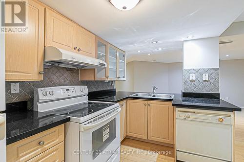 316 Drummond Drive, Vaughan (Maple), ON - Indoor Photo Showing Kitchen With Double Sink