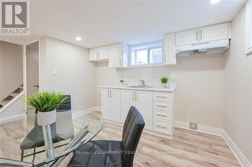 Lower - 180 Tolton Avenue, Hamilton, ON - Indoor