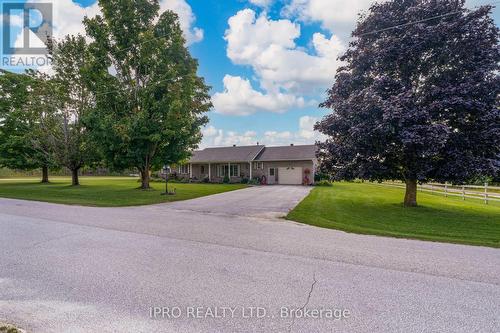 333424 Concession Rd 1 Road, West Grey, ON - Outdoor