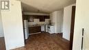 141 Thomson Avenue, Regina, SK  - Indoor Photo Showing Kitchen With Double Sink 