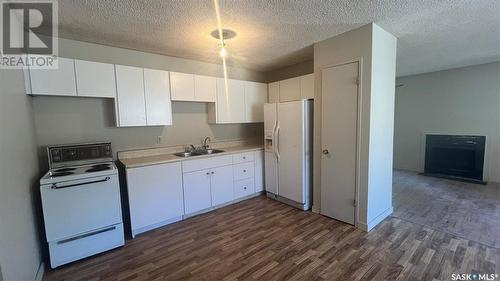 143 Thomson Avenue, Regina, SK - Indoor Photo Showing Kitchen With Double Sink