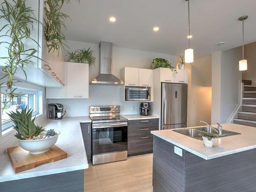 Kitchen - 164 Rue Des Becs-Scie, Gatineau (Masson-Angers), QC - Indoor Photo Showing Kitchen With Double Sink