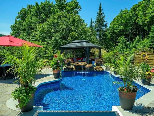 Piscine - 1000 Rue Des Tournesols, Sainte-Adèle, QC - Outdoor With In Ground Pool With Backyard