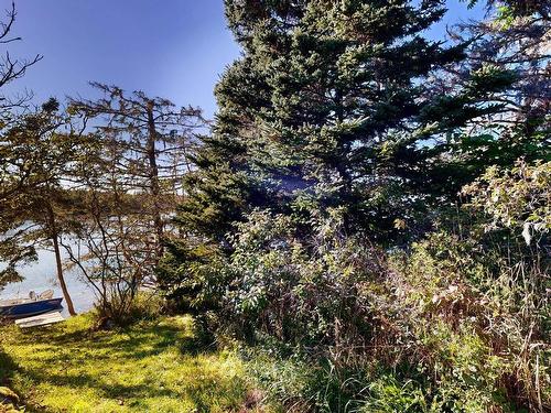 93 Sperry Road, West Green Harbour, NS 