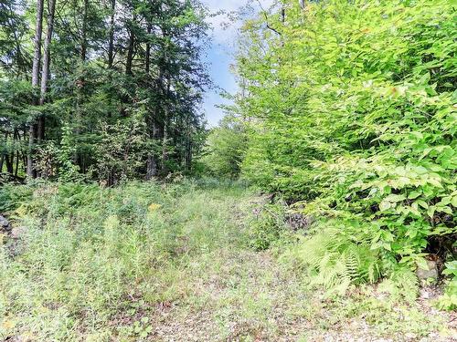 Land/Lot - 1389 Ch. De Val-Des-Lacs, Sainte-Sophie, QC - Outdoor