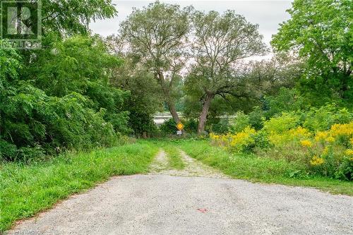 unopened road allowance at south side of property - 216 Fisher Crescent, Ayton, ON - Outdoor