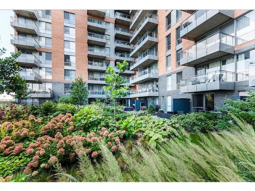 Jardin - 401-1025 Rue De La Commune E., Montréal (Ville-Marie), QC - Outdoor With Balcony With Facade