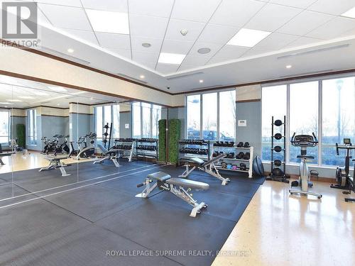 1409 - 15 Viking Lane, Toronto, ON - Indoor Photo Showing Gym Room