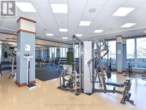 1409 - 15 Viking Lane, Toronto, ON - Indoor Photo Showing Gym Room