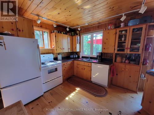 890 Mazinaw Lake, Addington Highlands, ON - Indoor Photo Showing Kitchen With Double Sink