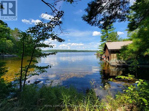 890 Mazinaw Lake, Addington Highlands, ON - Outdoor With Body Of Water With View