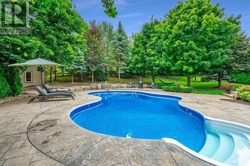 3 Oldenburg Road, Hamilton, ON - Outdoor With In Ground Pool With Backyard