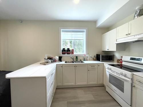 1916 Fort Sheppard Drive, Nelson, BC - Indoor Photo Showing Kitchen With Double Sink