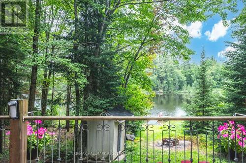 4 Clover Court, Kawartha Lakes, ON - Outdoor With Body Of Water