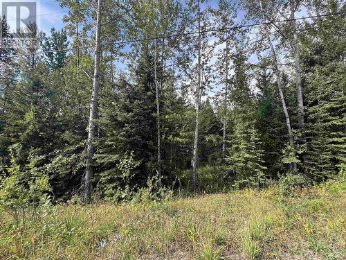 Lot 10 Mckee Road, Quesnel, BC 