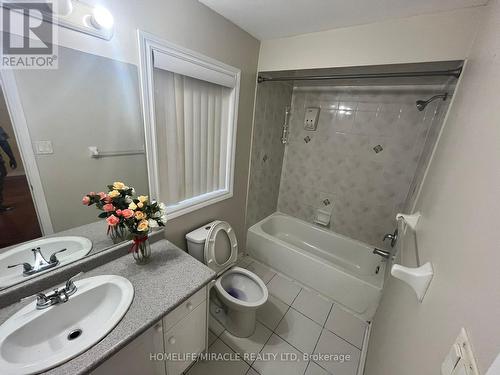 Main - 243 Queen Mary Drive, Brampton, ON - Indoor Photo Showing Bathroom