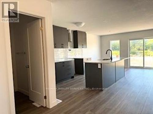 91 Queensbrook Crescent, Cambridge, ON - Indoor Photo Showing Kitchen