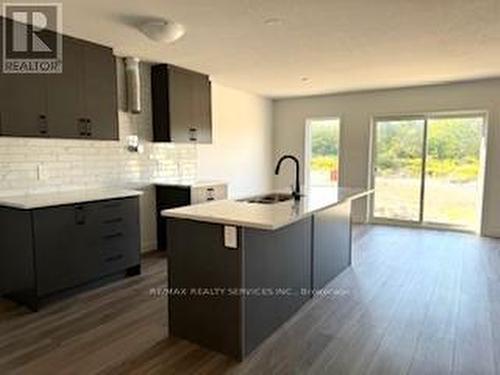 91 Queensbrook Crescent, Cambridge, ON - Indoor Photo Showing Kitchen With Upgraded Kitchen