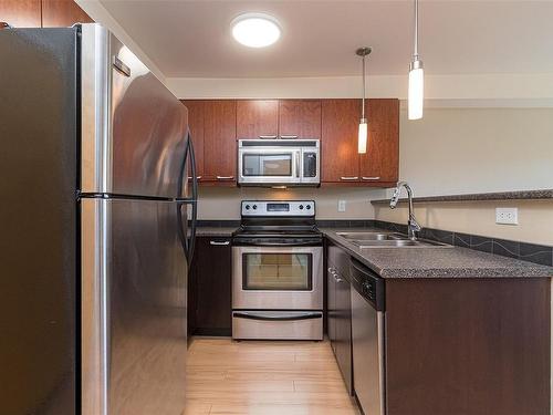 306-356 Gorge Rd East, Victoria, BC - Indoor Photo Showing Kitchen With Double Sink