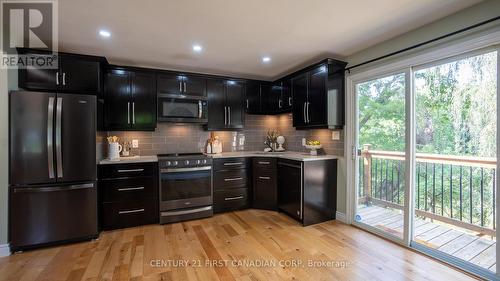 3856 Hamilton Road, Thames Centre (Dorchester), ON - Indoor Photo Showing Kitchen With Upgraded Kitchen