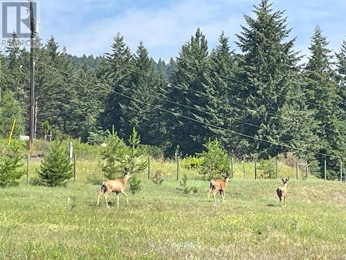 1826 Hulme Creek Road, Rock Creek, BC - Outdoor With View