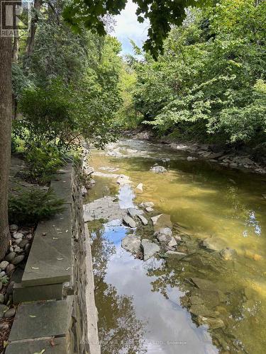 132 Thompson Avenue, Toronto (Stonegate-Queensway), ON - Outdoor With View