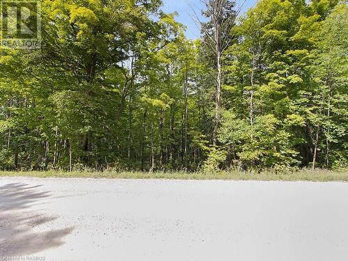 Lot 6 10Th Concession, Grey Highlands, ON 