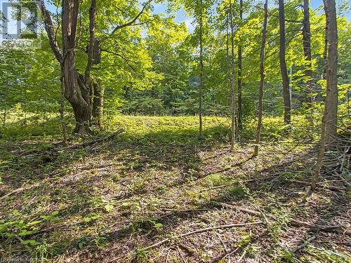 Lot 6 10Th Concession, Grey Highlands, ON 