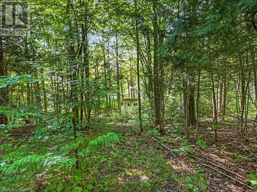 Lot 6 10Th Concession, Grey Highlands, ON 