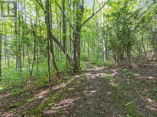 Lot 6 10Th Concession, Grey Highlands, ON 