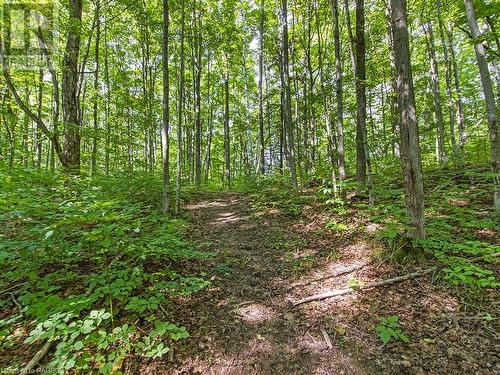 Lot 6 10Th Concession, Grey Highlands, ON 