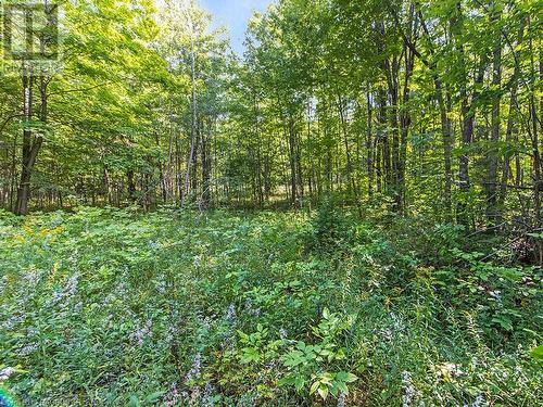 Lot 6 10Th Concession, Grey Highlands, ON 