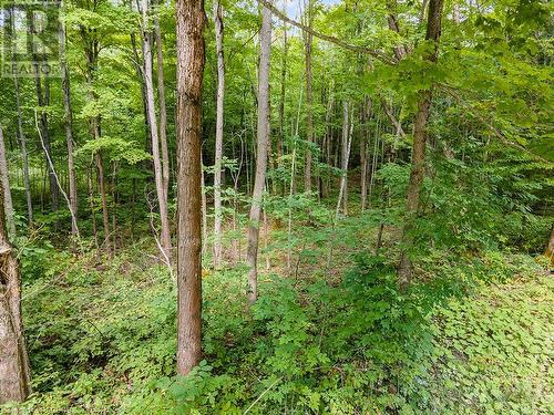 Lot 6 10Th Concession, Grey Highlands, ON 