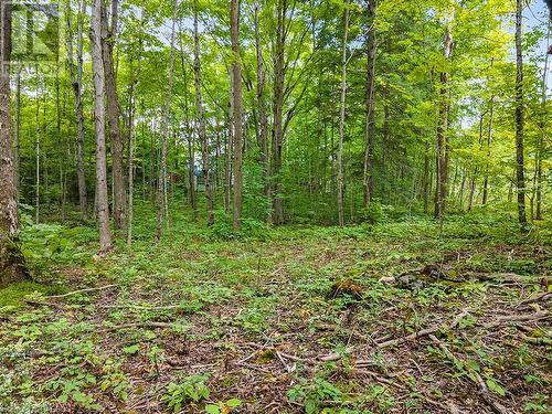 Lot 6 10Th Concession, Grey Highlands, ON 