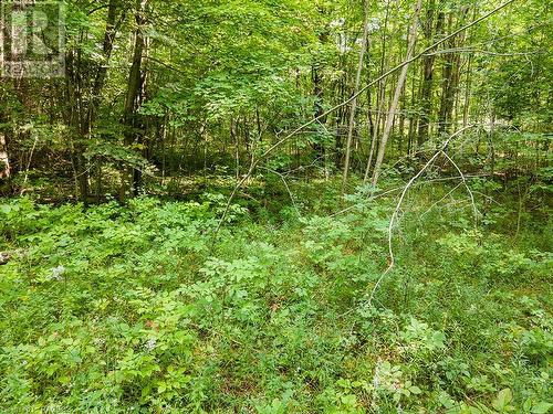 Lot 6 10Th Concession, Grey Highlands, ON 