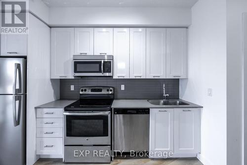 902 - 50 Bruyeres Mews, Toronto (Niagara), ON - Indoor Photo Showing Kitchen With Double Sink