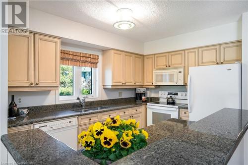 28 Ramblings Way Unit# 42, Collingwood, ON - Indoor Photo Showing Kitchen With Double Sink