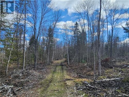 Dore Bay Road, Pembroke, ON 