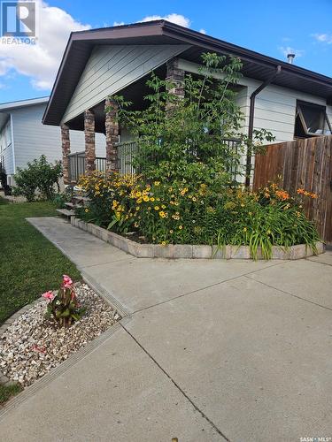 216 2Nd Avenue S, St. Brieux, SK - Outdoor