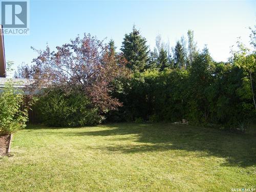 216 2Nd Avenue S, St. Brieux, SK - Outdoor