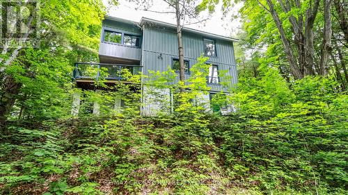 39 Maplecrest Court, Oro-Medonte (Horseshoe Valley), ON - Outdoor