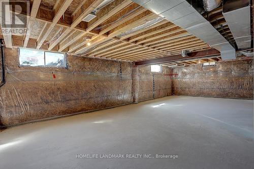 17 Charles White Court, East Gwillimbury, ON - Indoor Photo Showing Basement