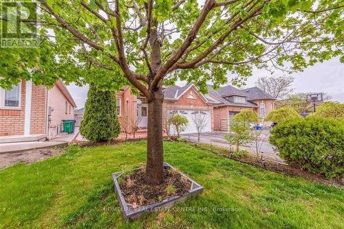 3 Orchid Drive, Brampton, ON - Outdoor