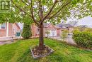 3 Orchid Drive, Brampton, ON  - Outdoor 