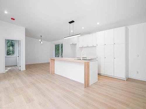 Vue d'ensemble - 120 Ch. De La Montagne-Cachée, Chertsey, QC - Indoor Photo Showing Kitchen With Double Sink