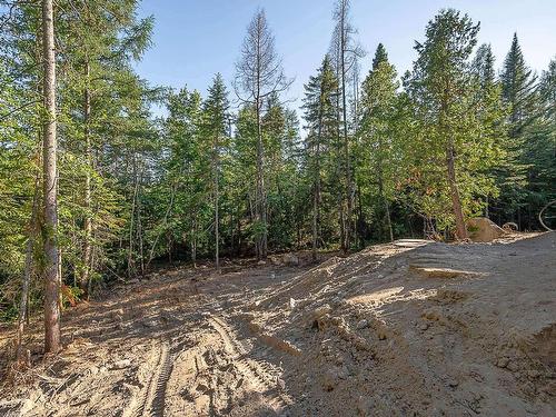 Land/Lot - 120 Ch. De La Montagne-Cachée, Chertsey, QC - Outdoor With View